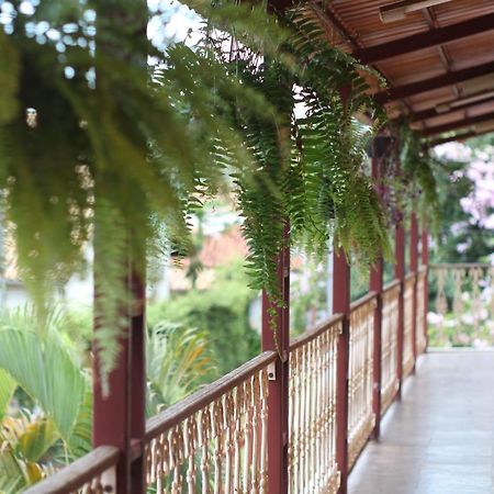 Recanto Das Abelhas - 300 M Do Centro Historico Hotel ทีราเดนเจส ภายนอก รูปภาพ